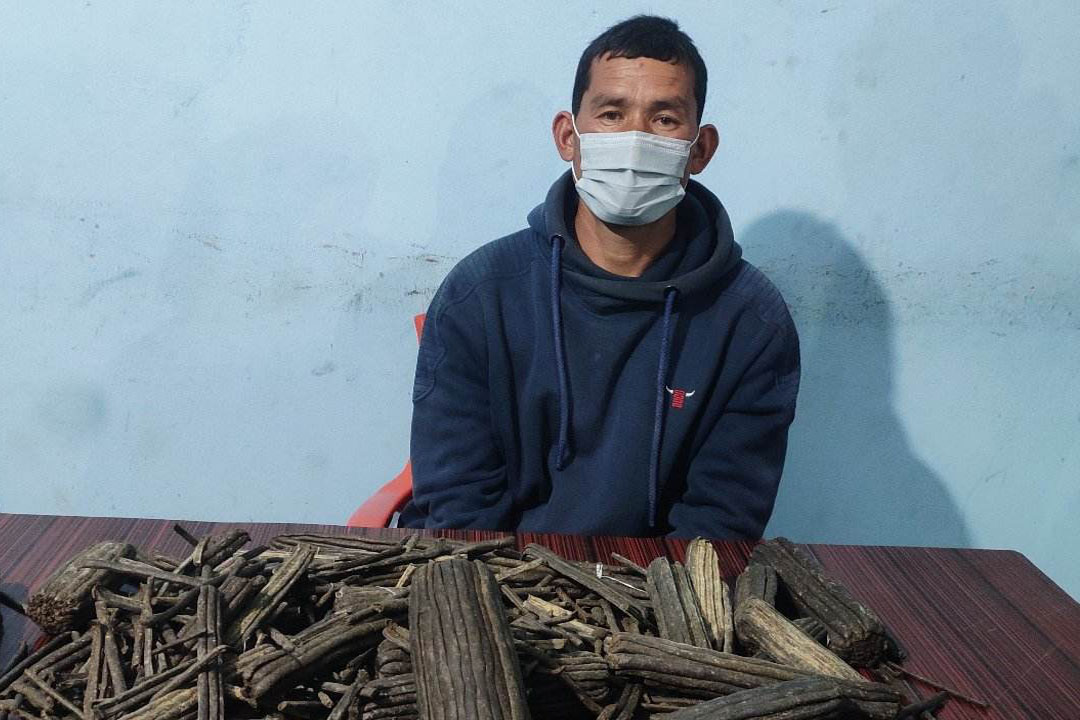 ९ किलो चरेससहित बझाङका एकजना कैलालीमा पक्राउ